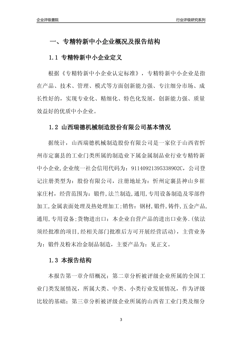 [专精特新]山西瑞德机械制造股份有限公司行业竞争力评级分析报告(2023版)_第3页