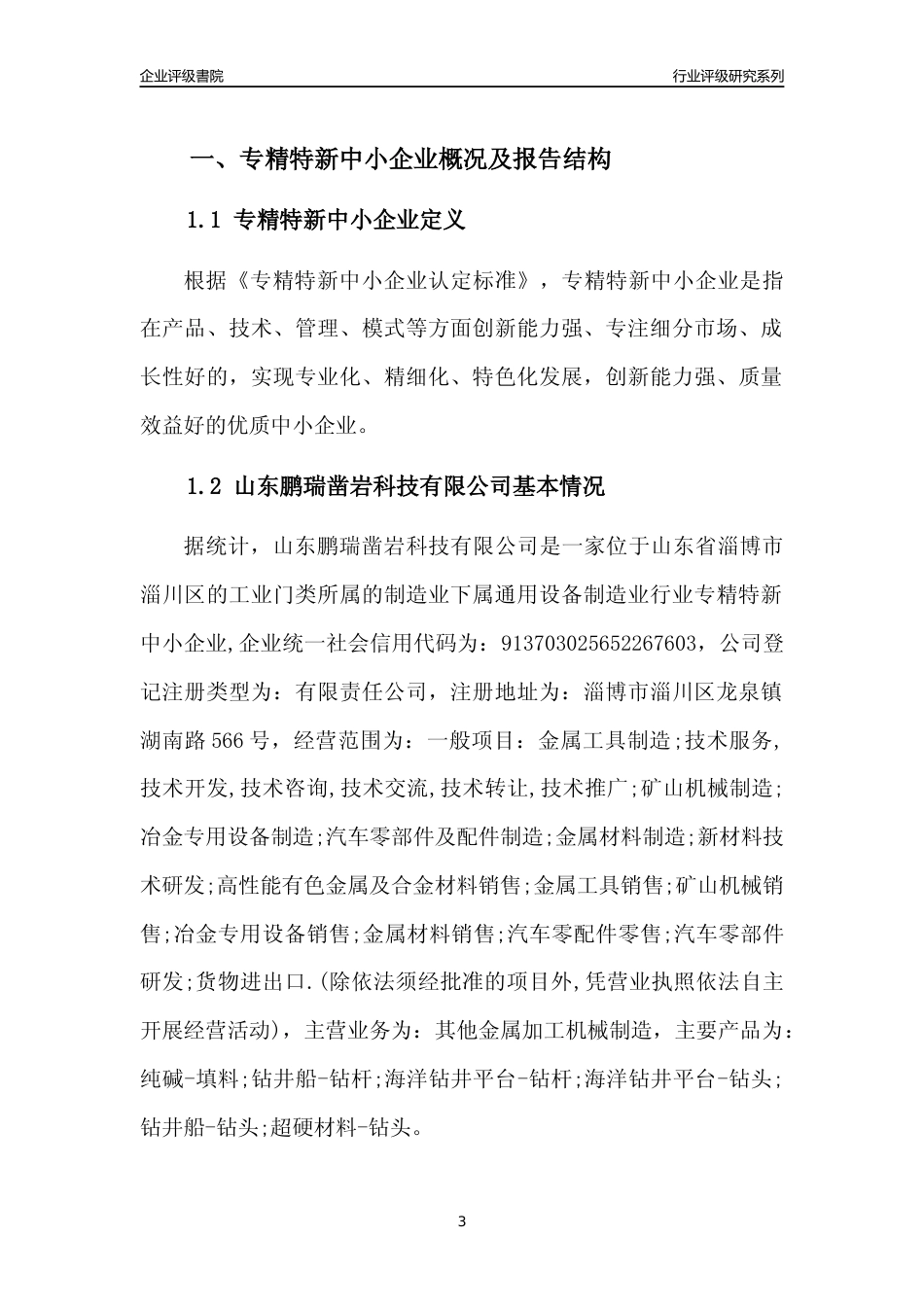 [专精特新]山东鹏瑞凿岩科技有限公司行业竞争力评级分析报告(2023版)_第3页