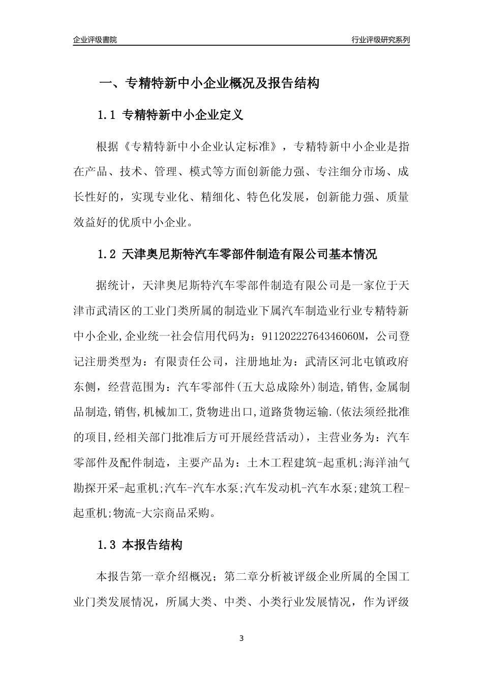 [专精特新]天津奥尼斯特汽车零部件制造有限公司行业竞争力评级分析报告(2023版)_第3页