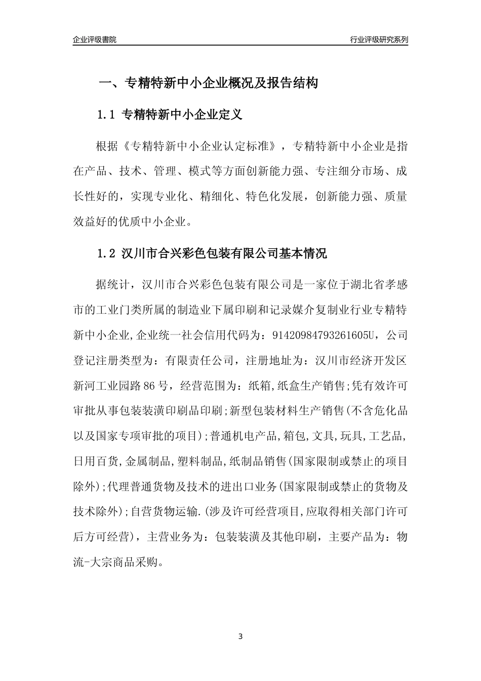 [专精特新]汉川市合兴彩色包装有限公司行业竞争力评级分析报告(2023版)_第3页