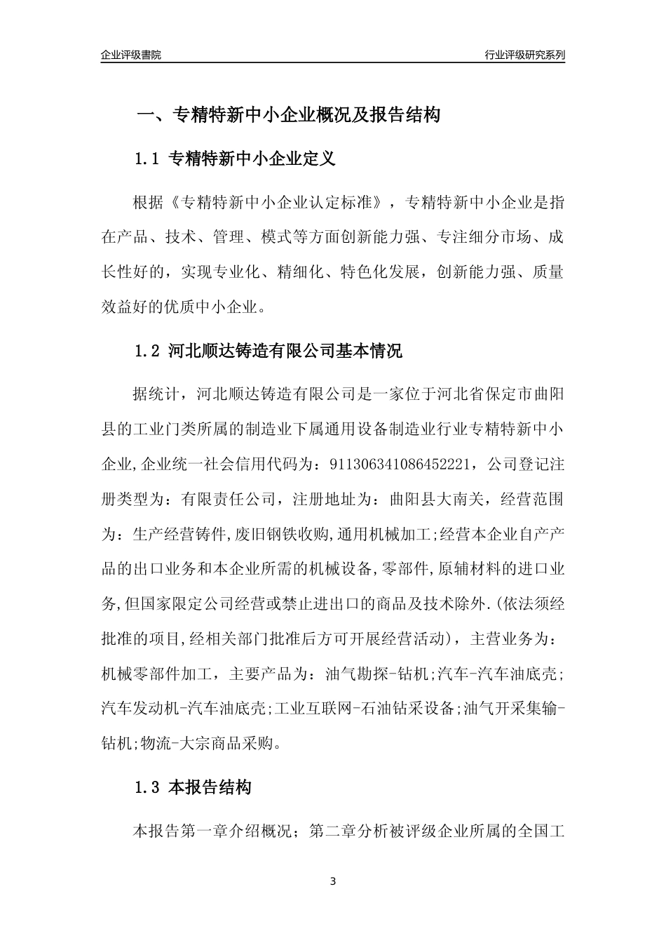 [专精特新]河北顺达铸造有限公司行业竞争力评级分析报告(2023版)_第3页