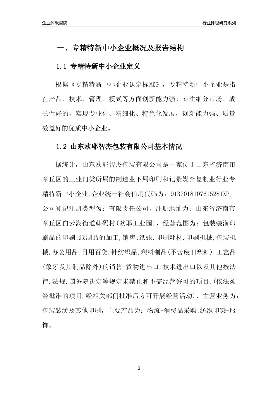 [专精特新]山东欧耶智杰包装有限公司行业竞争力评级分析报告(2023版)_第3页