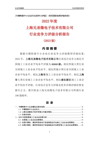 [专精特新]上海兄弟微电子技术有限公司行业竞争力评级分析报告(2023版)