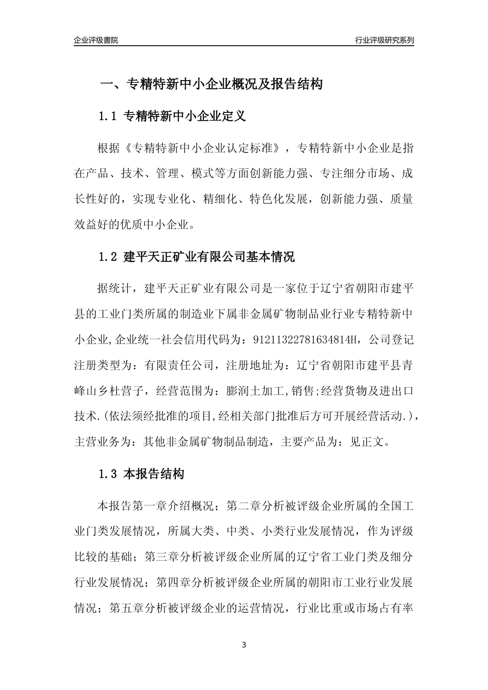 [专精特新]建平天正矿业有限公司行业竞争力评级分析报告(2023版)_第3页