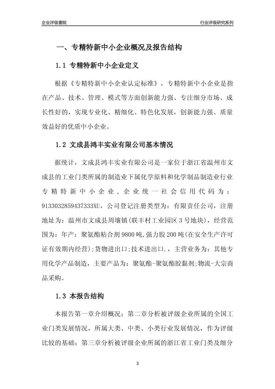 [专精特新]文成县鸿丰实业有限公司行业竞争力评级分析报告(2023版)_第3页