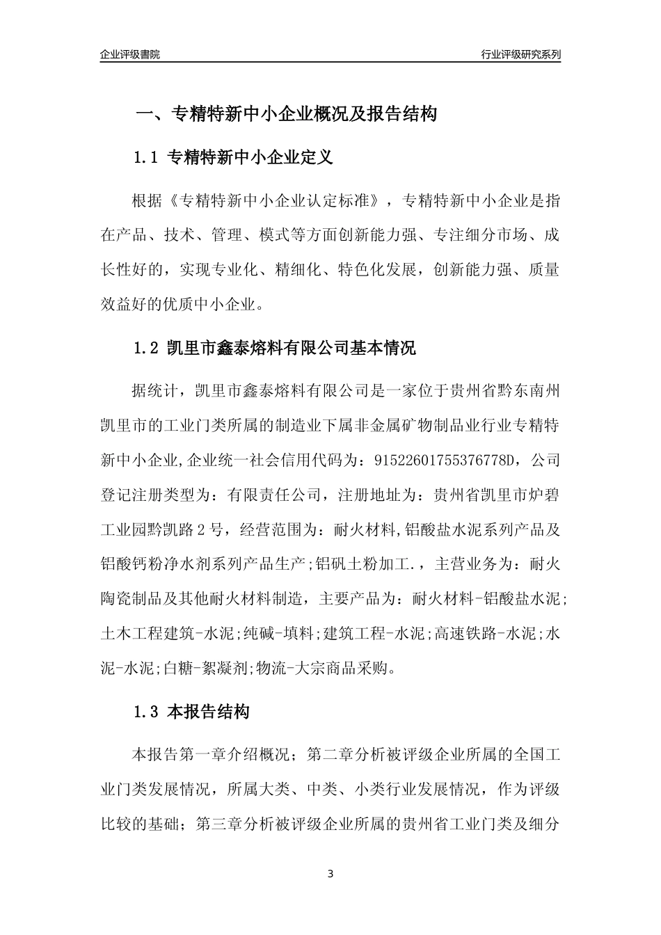 [专精特新]凯里市鑫泰熔料有限公司行业竞争力评级分析报告(2023版)_第3页