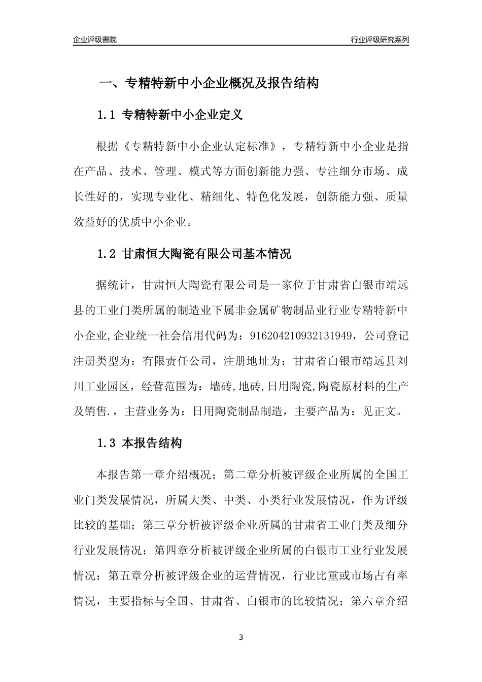 [专精特新]甘肃恒大陶瓷有限公司行业竞争力评级分析报告(2023版)_第3页