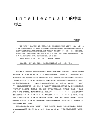 _Intellectual_的中国版本_方维规