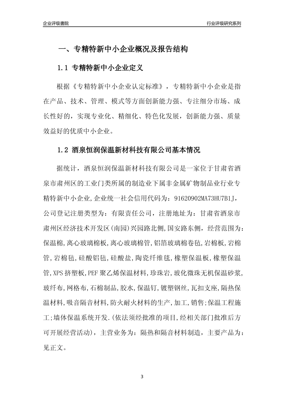 [专精特新]酒泉恒润保温新材科技有限公司行业竞争力评级分析报告(2023版)_第3页