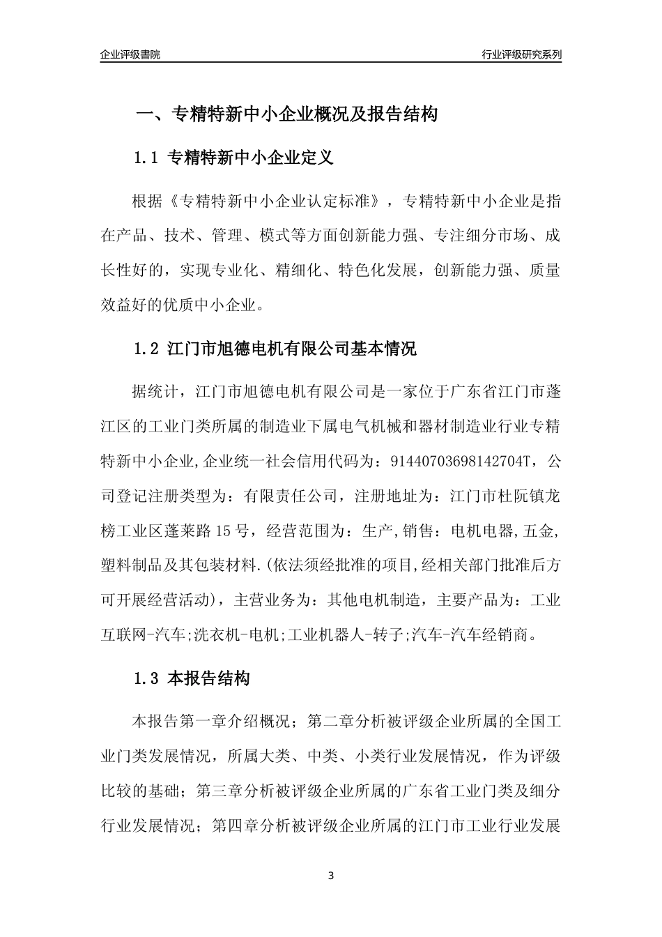 [专精特新]江门市旭德电机有限公司行业竞争力评级分析报告(2023版)_第3页