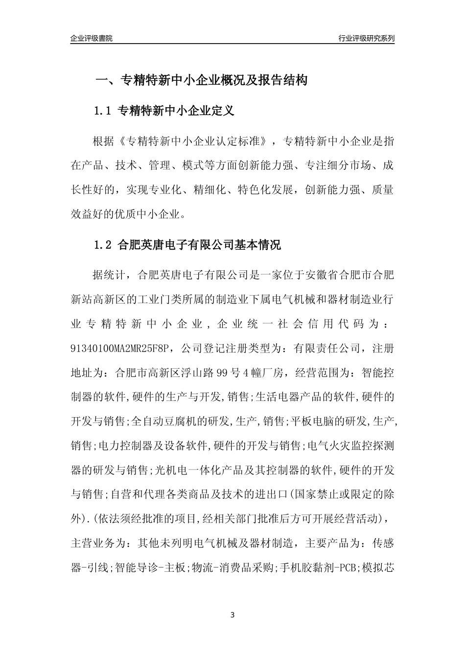 [专精特新]合肥英唐电子有限公司行业竞争力评级分析报告(2023版)_第3页