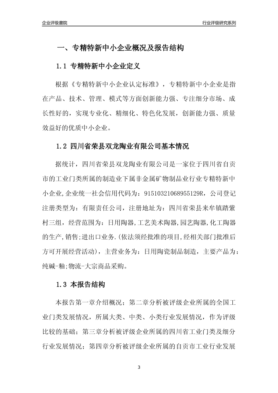 [专精特新]四川省荣县双龙陶业有限公司行业竞争力评级分析报告(2023版)_第3页