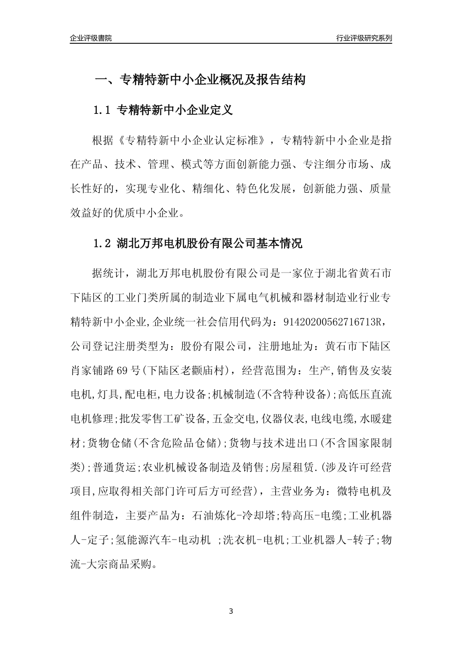 [专精特新]湖北万邦电机股份有限公司行业竞争力评级分析报告(2023版)_第3页