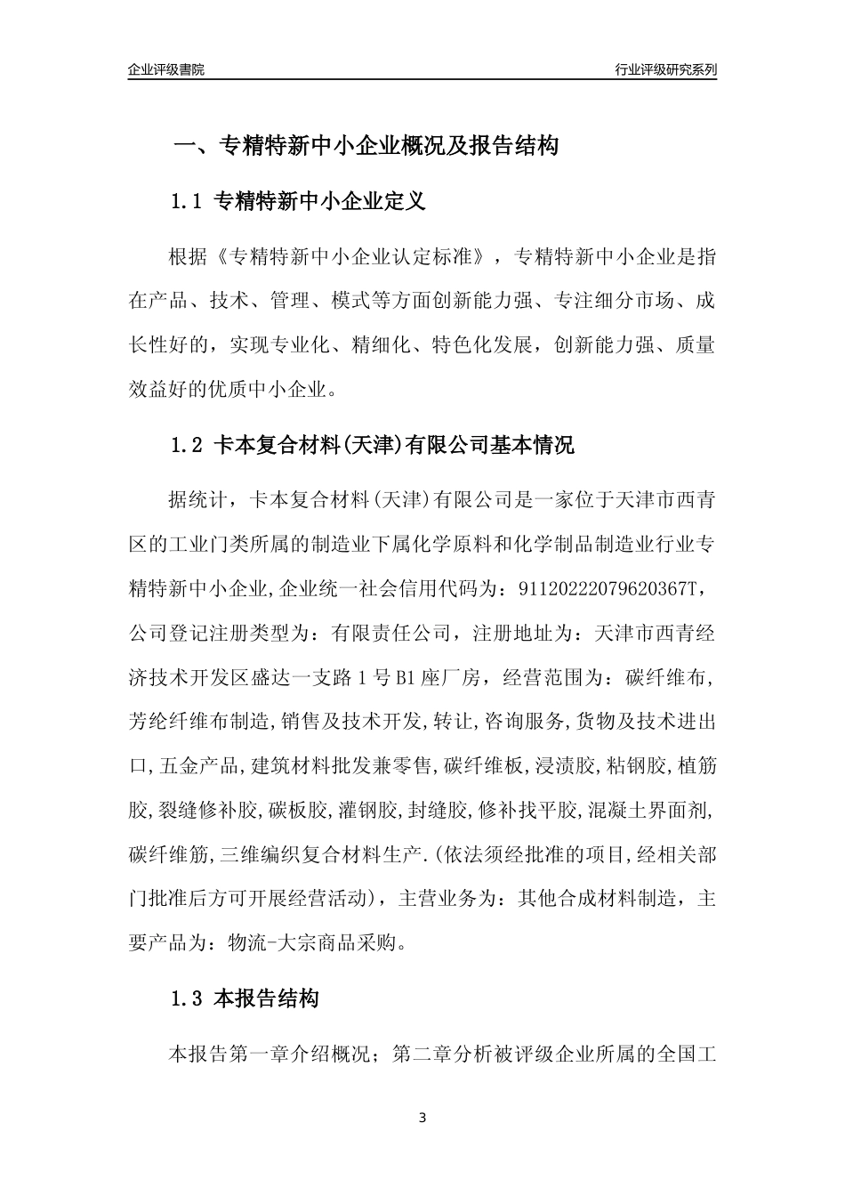 [专精特新]卡本复合材料(天津)有限公司行业竞争力评级分析报告(2023版)_第3页