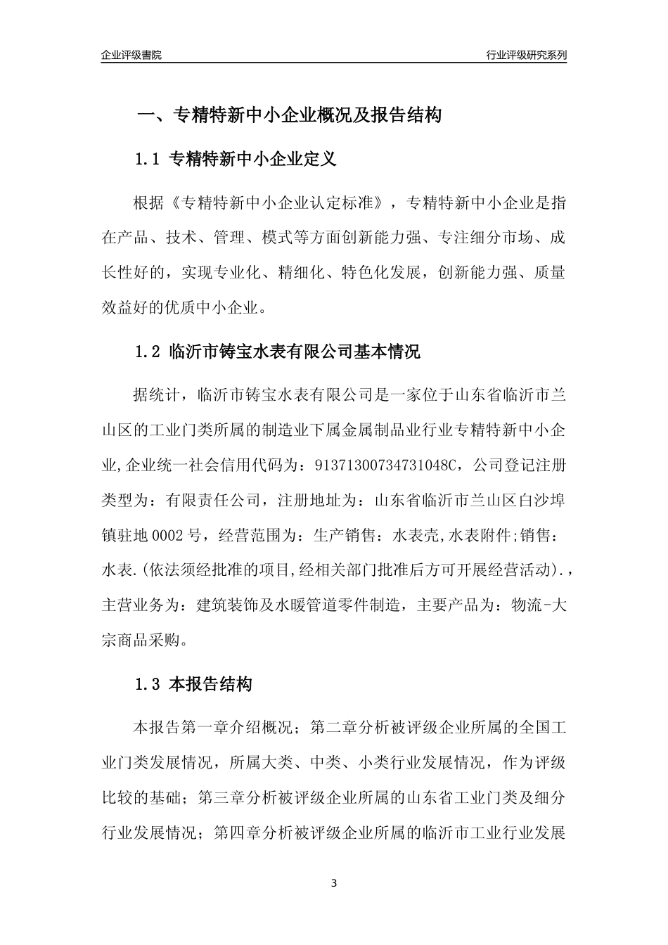 [专精特新]临沂市铸宝水表有限公司行业竞争力评级分析报告(2023版)_第3页