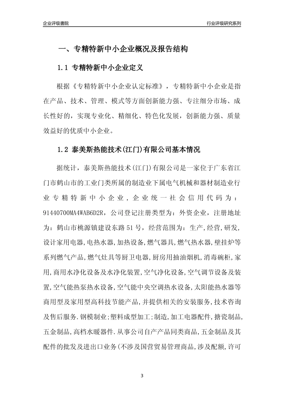[专精特新]泰美斯热能技术(江门)有限公司行业竞争力评级分析报告(2023版)_第3页