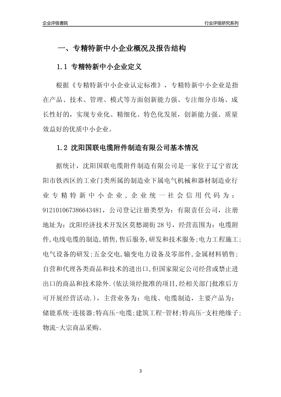 [专精特新]沈阳国联电缆附件制造有限公司行业竞争力评级分析报告(2023版)_第3页
