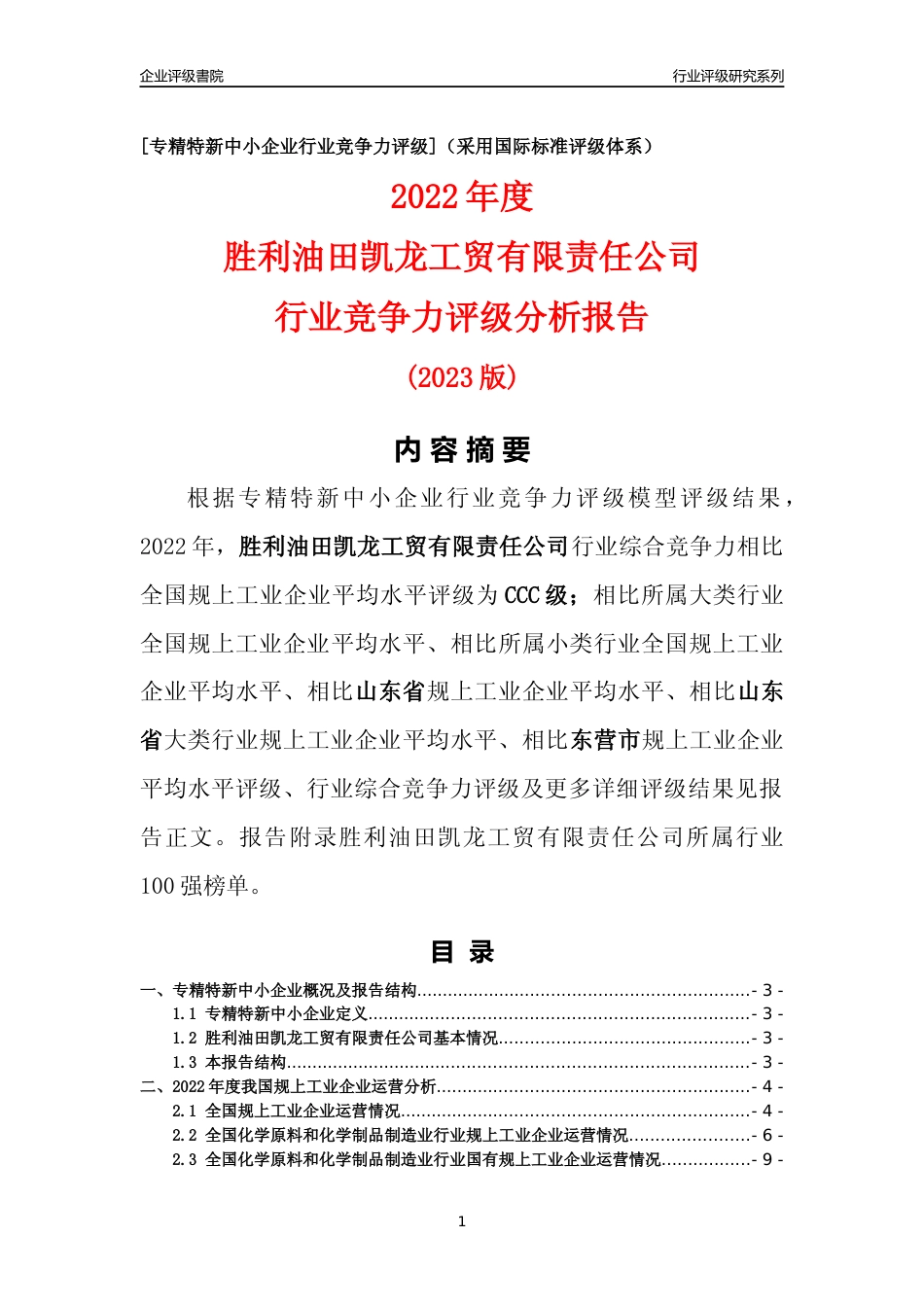 [专精特新]胜利油田凯龙工贸有限责任公司行业竞争力评级分析报告(2023版)_第1页