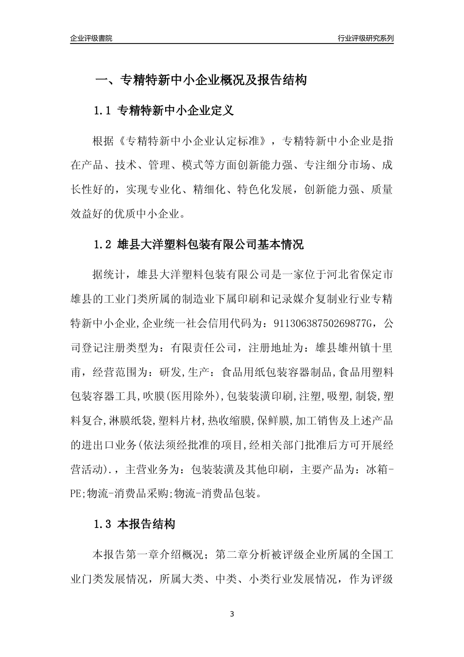 [专精特新]雄县大洋塑料包装有限公司行业竞争力评级分析报告(2023版)_第3页