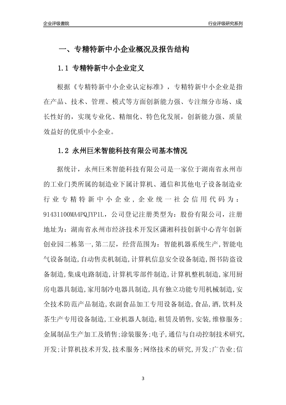 [专精特新]永州巨米智能科技有限公司行业竞争力评级分析报告(2023版)_第3页