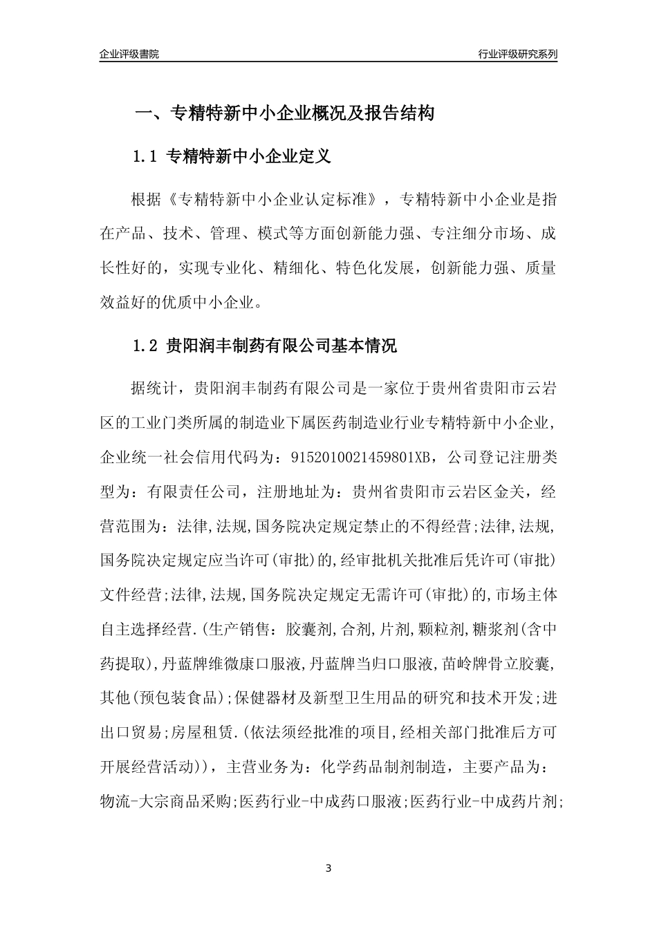 [专精特新]贵阳润丰制药有限公司行业竞争力评级分析报告(2023版)_第3页