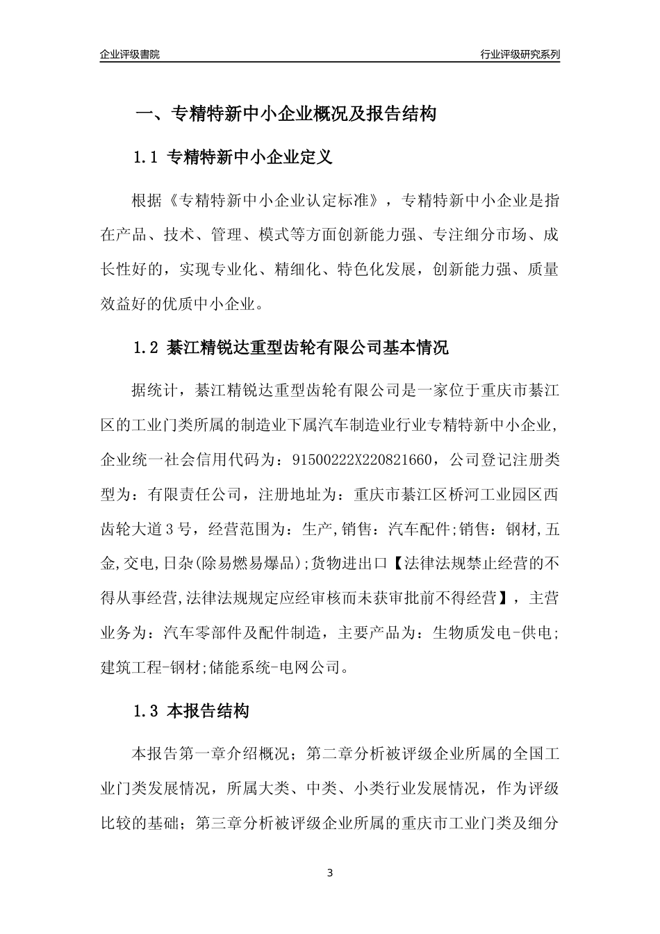 [专精特新]綦江精锐达重型齿轮有限公司行业竞争力评级分析报告(2023版)_第3页