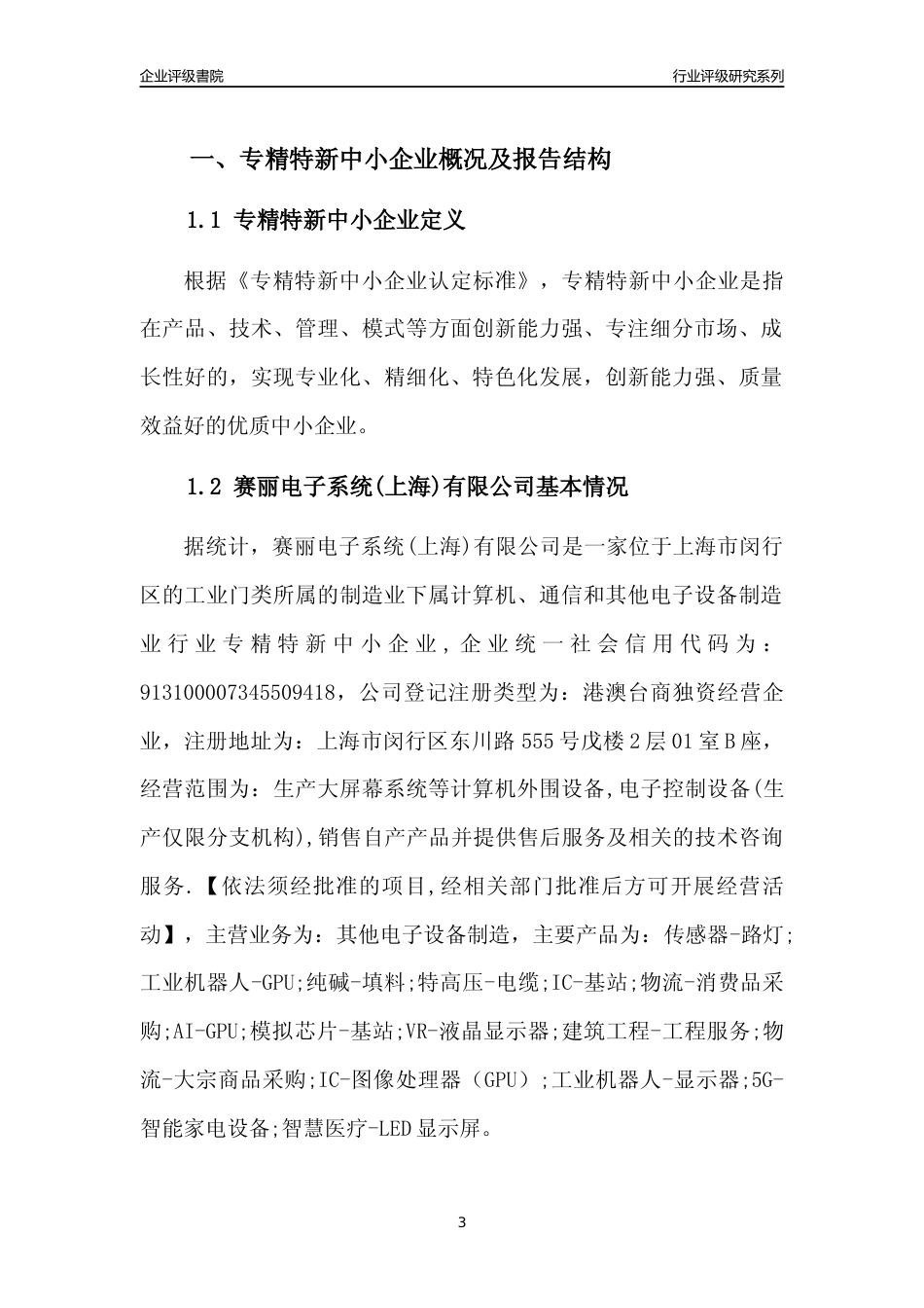 [专精特新]赛丽电子系统(上海)有限公司行业竞争力评级分析报告(2023版)_第3页