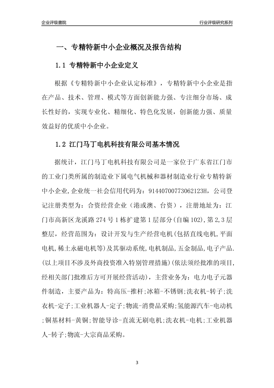[专精特新]江门马丁电机科技有限公司行业竞争力评级分析报告(2023版)_第3页