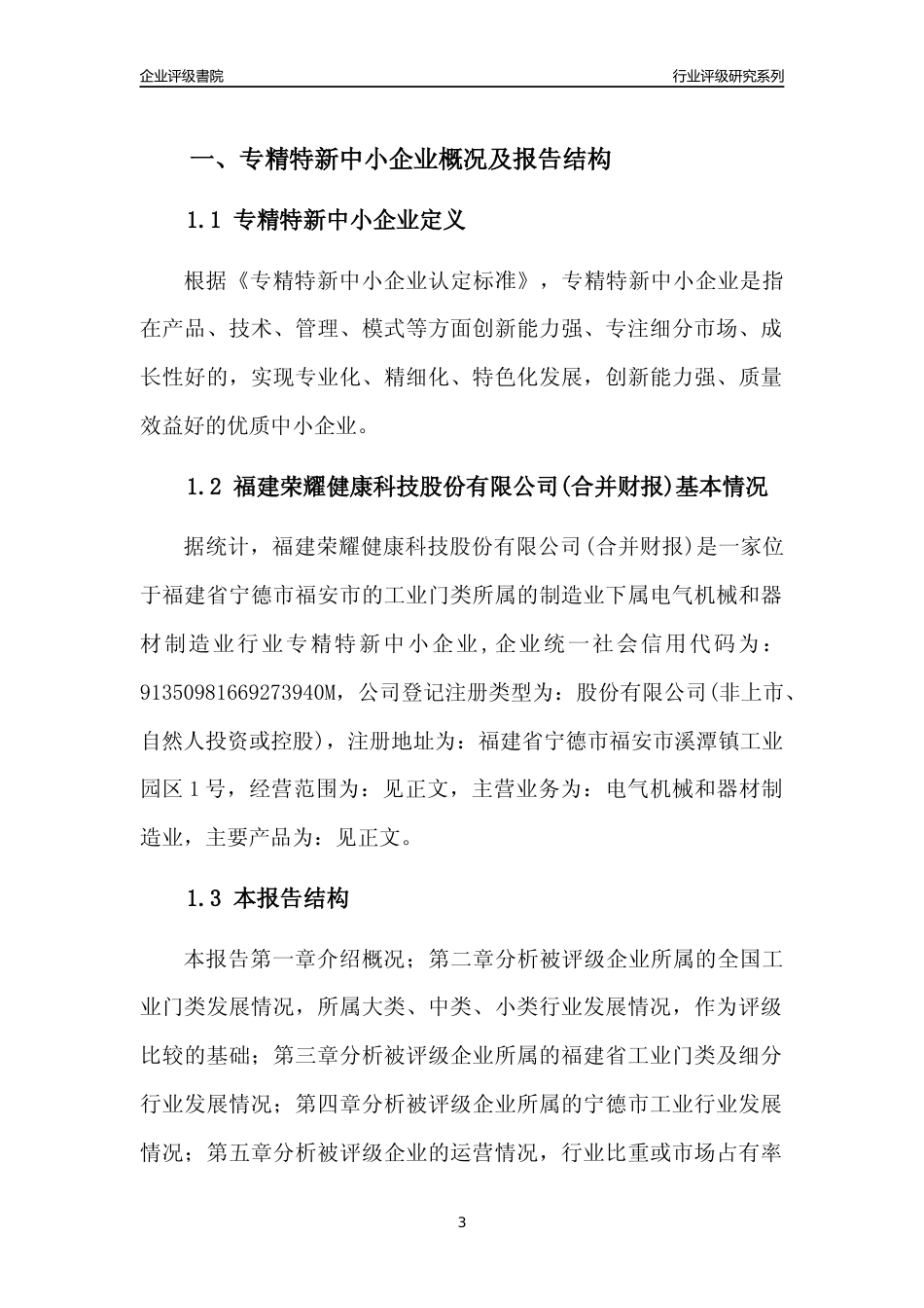 [专精特新]福建荣耀健康科技股份有限公司(合并财报)行业竞争力评级分析报告(2023版)_第3页