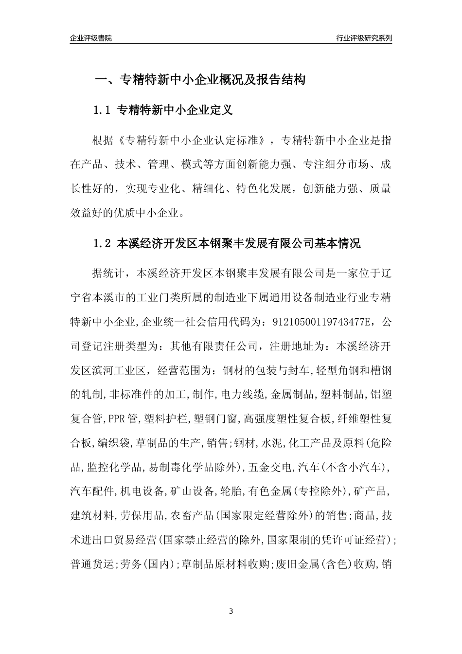 [专精特新]本溪经济开发区本钢聚丰发展有限公司行业竞争力评级分析报告(2023版)_第3页