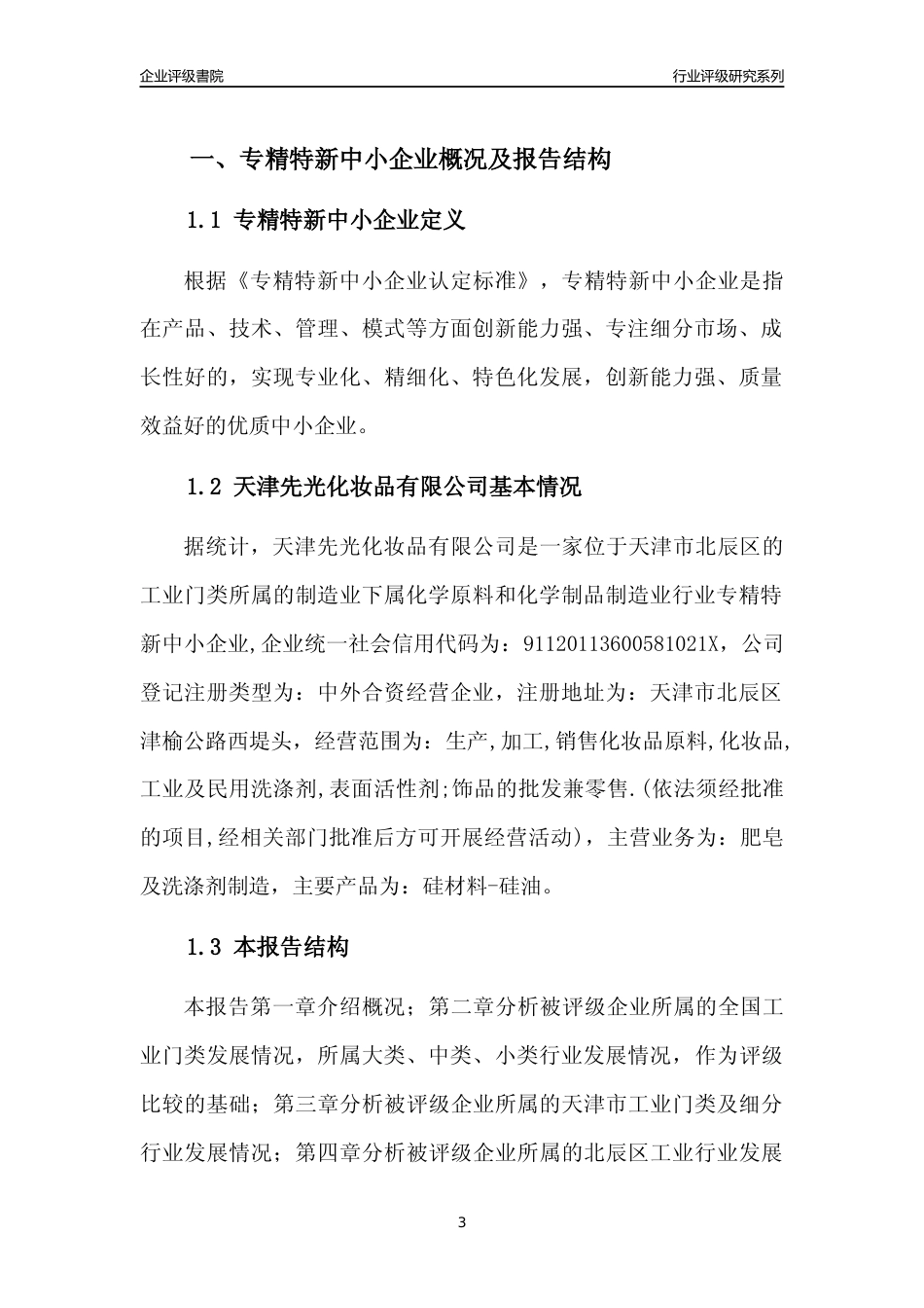 [专精特新]天津先光化妆品有限公司行业竞争力评级分析报告(2023版)_第3页