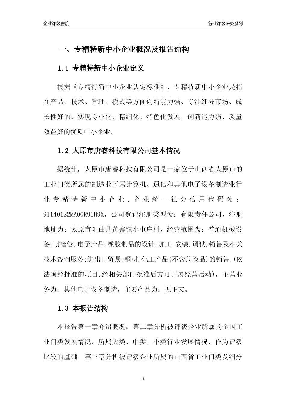 [专精特新]太原市唐睿科技有限公司行业竞争力评级分析报告(2023版)_第3页