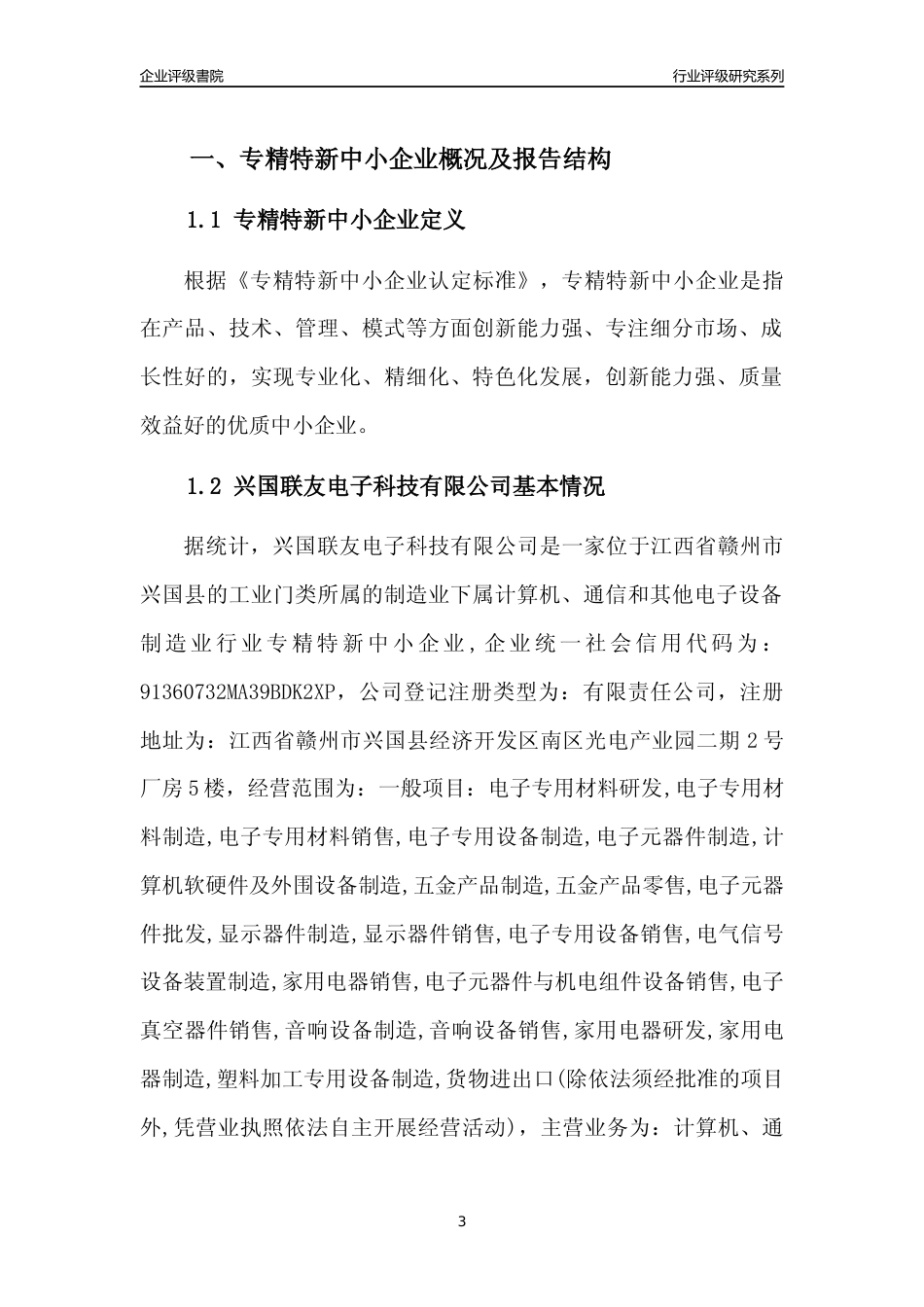 [专精特新]兴国联友电子科技有限公司行业竞争力评级分析报告(2023版)_第3页