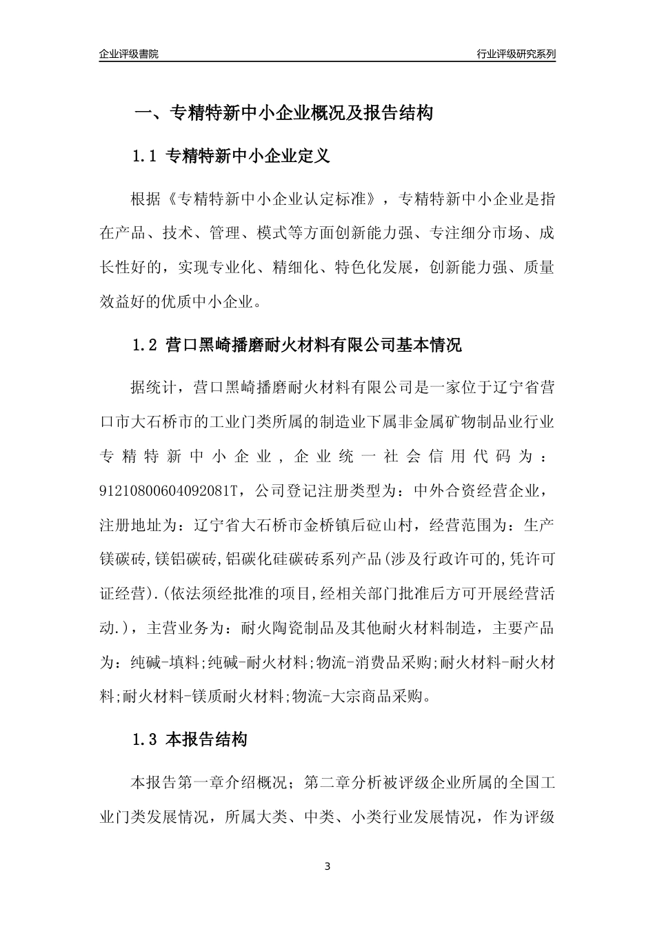 [专精特新]营口黑崎播磨耐火材料有限公司行业竞争力评级分析报告(2023版)_第3页
