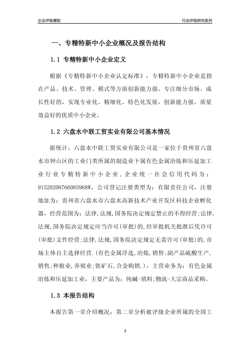 [专精特新]六盘水中联工贸实业有限公司行业竞争力评级分析报告(2023版)_第3页