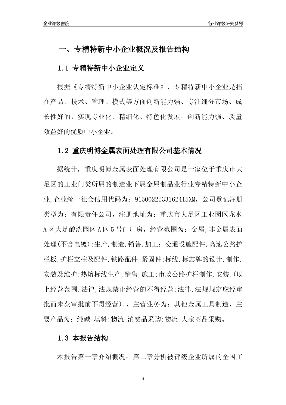 [专精特新]重庆明博金属表面处理有限公司行业竞争力评级分析报告(2023版)_第3页