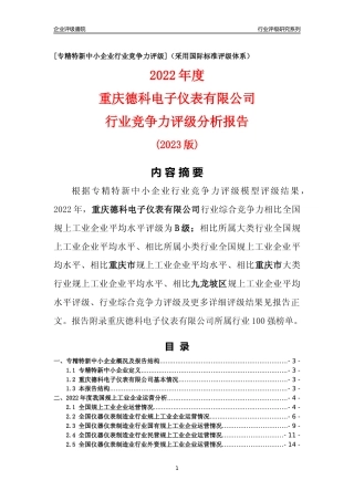 [专精特新]重庆德科电子仪表有限公司行业竞争力评级分析报告(2023版)