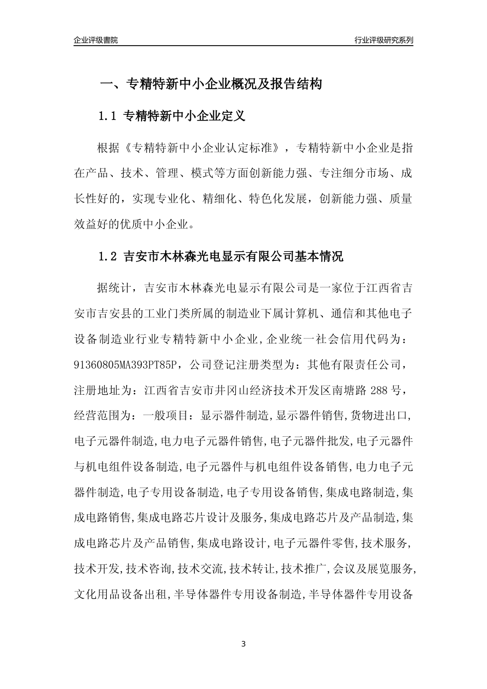 [专精特新]吉安市木林森光电显示有限公司行业竞争力评级分析报告(2023版)_第3页