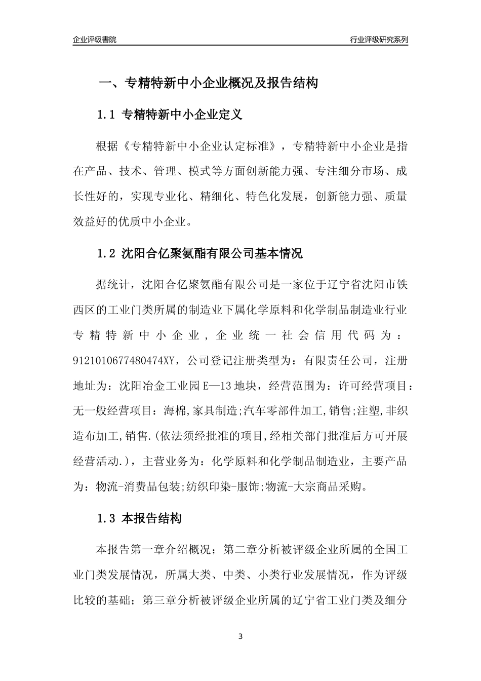 [专精特新]沈阳合亿聚氨酯有限公司行业竞争力评级分析报告(2023版)_第3页