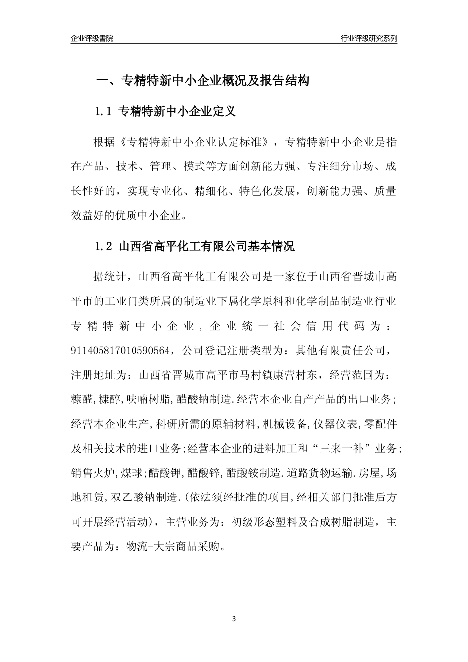 [专精特新]山西省高平化工有限公司行业竞争力评级分析报告(2023版)_第3页