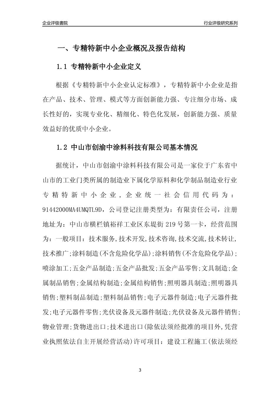 [专精特新]中山市创渝中涂料科技有限公司行业竞争力评级分析报告(2023版)_第3页