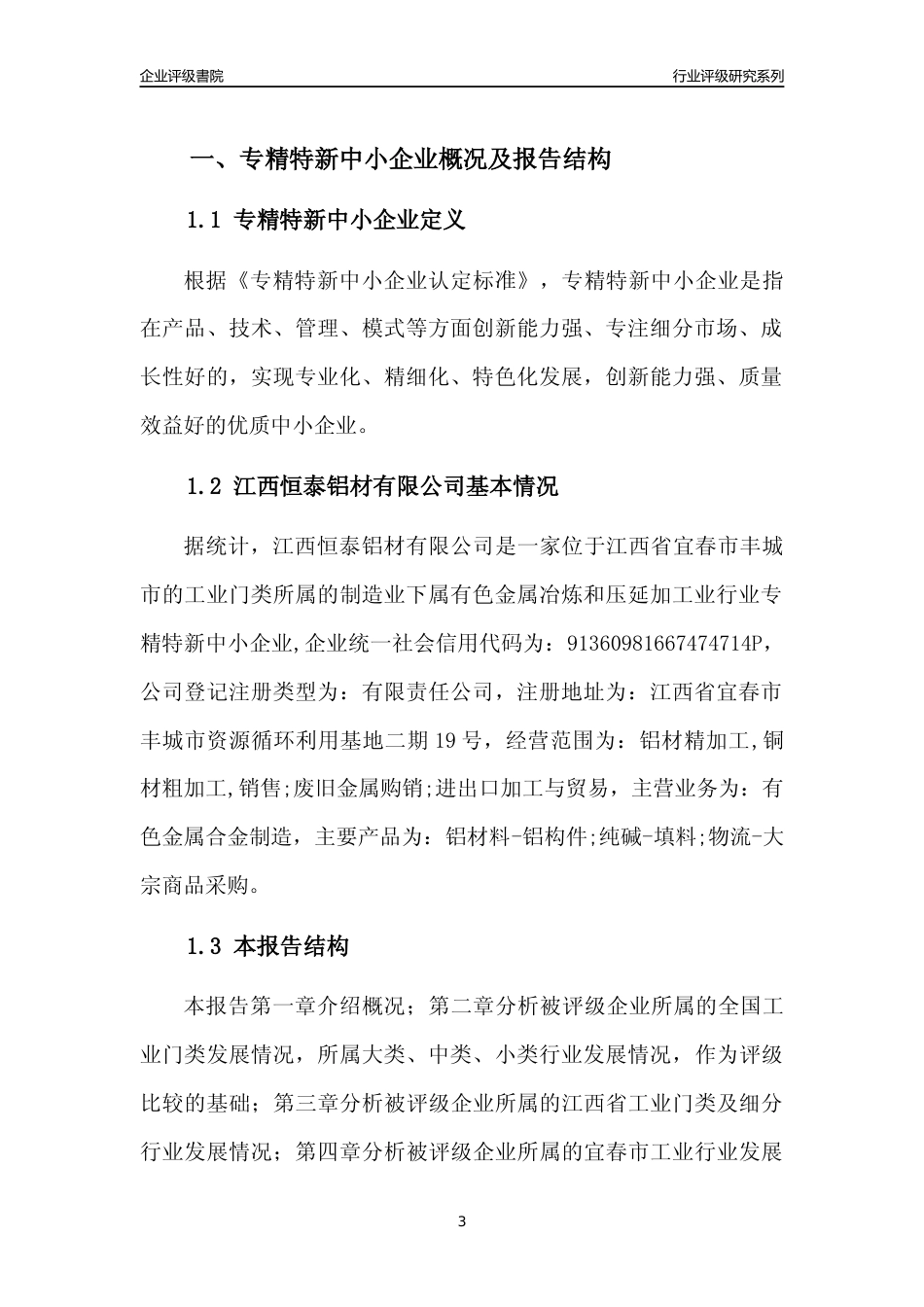 [专精特新]江西恒泰铝材有限公司行业竞争力评级分析报告(2023版)_第3页