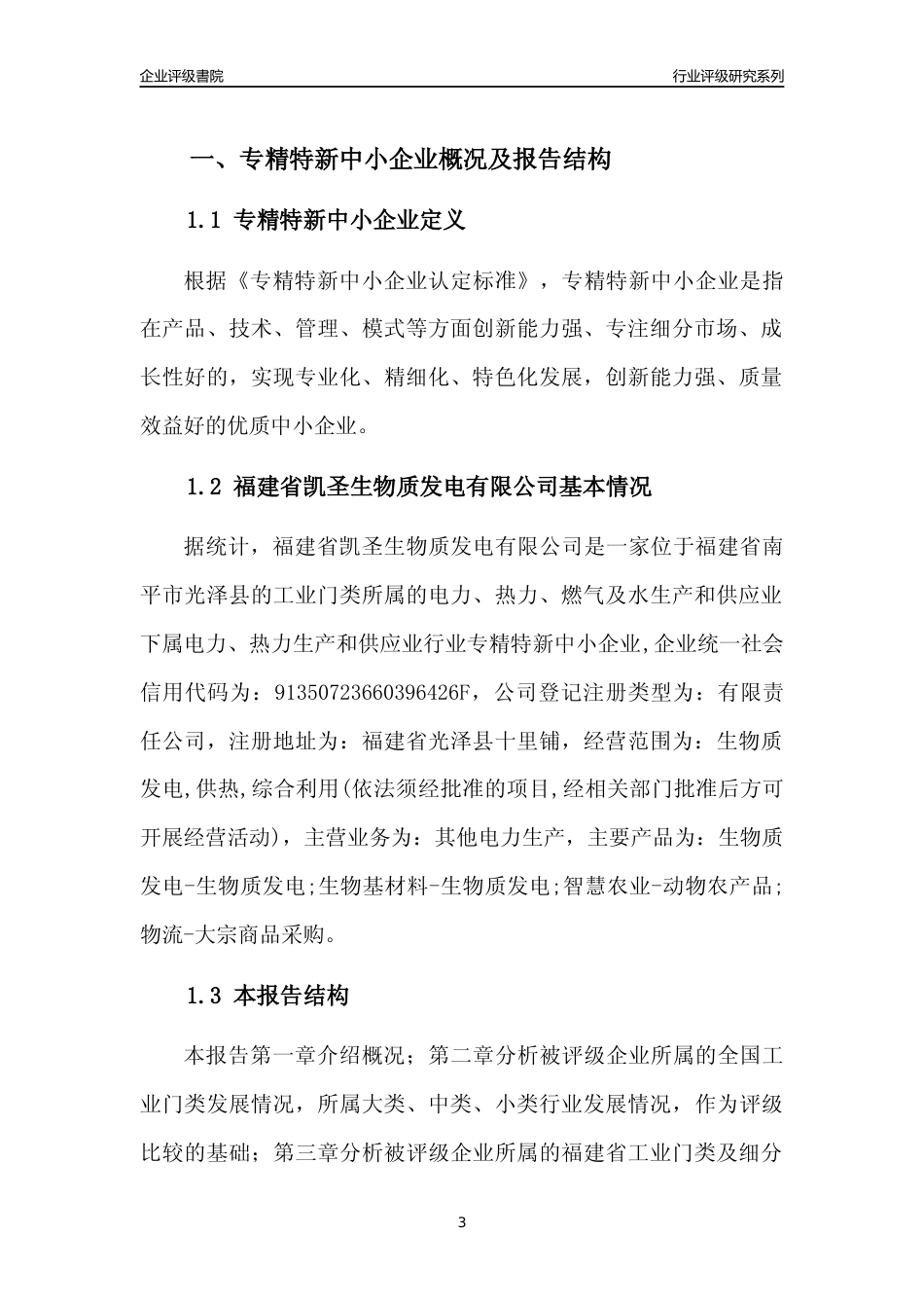 [专精特新]福建省凯圣生物质发电有限公司行业竞争力评级分析报告(2023版)_第3页