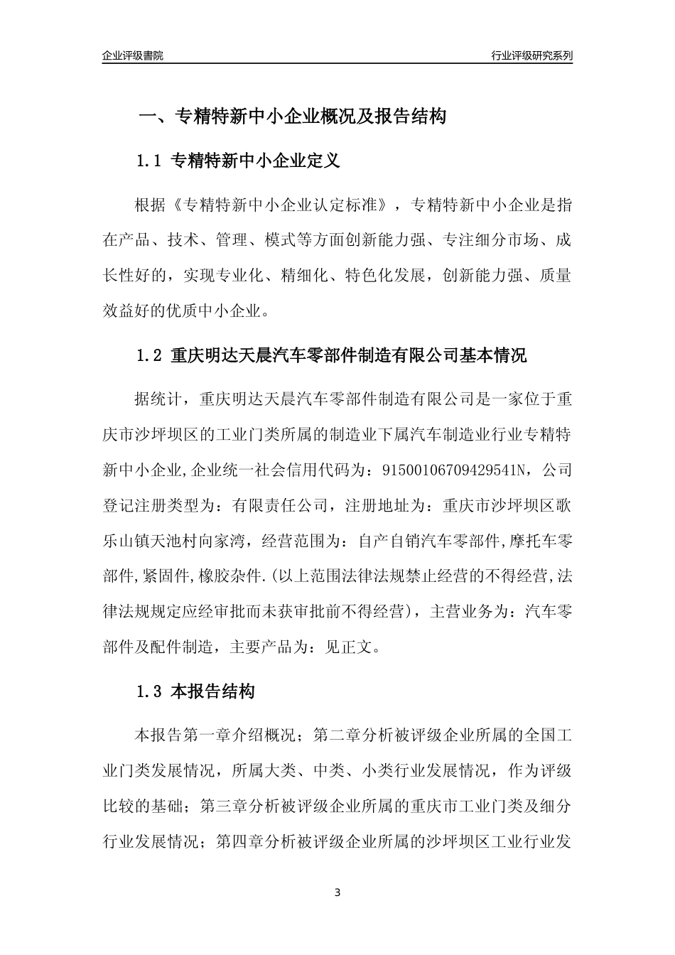 [专精特新]重庆明达天晨汽车零部件制造有限公司行业竞争力评级分析报告(2023版)_第3页