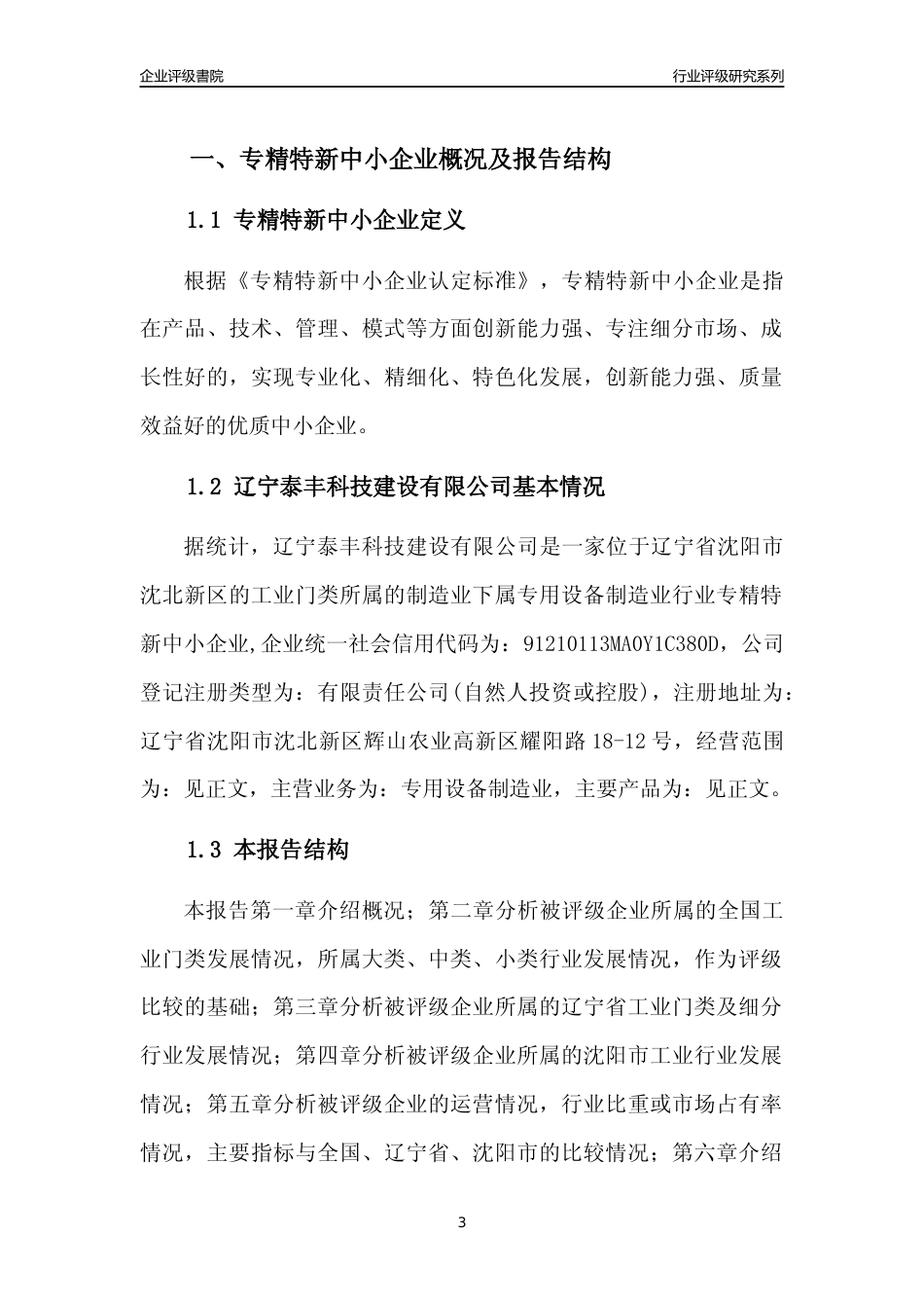 [专精特新]辽宁泰丰科技建设有限公司行业竞争力评级分析报告(2023版)_第3页