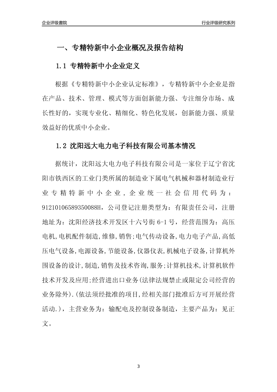 [专精特新]沈阳远大电力电子科技有限公司行业竞争力评级分析报告(2023版)_第3页