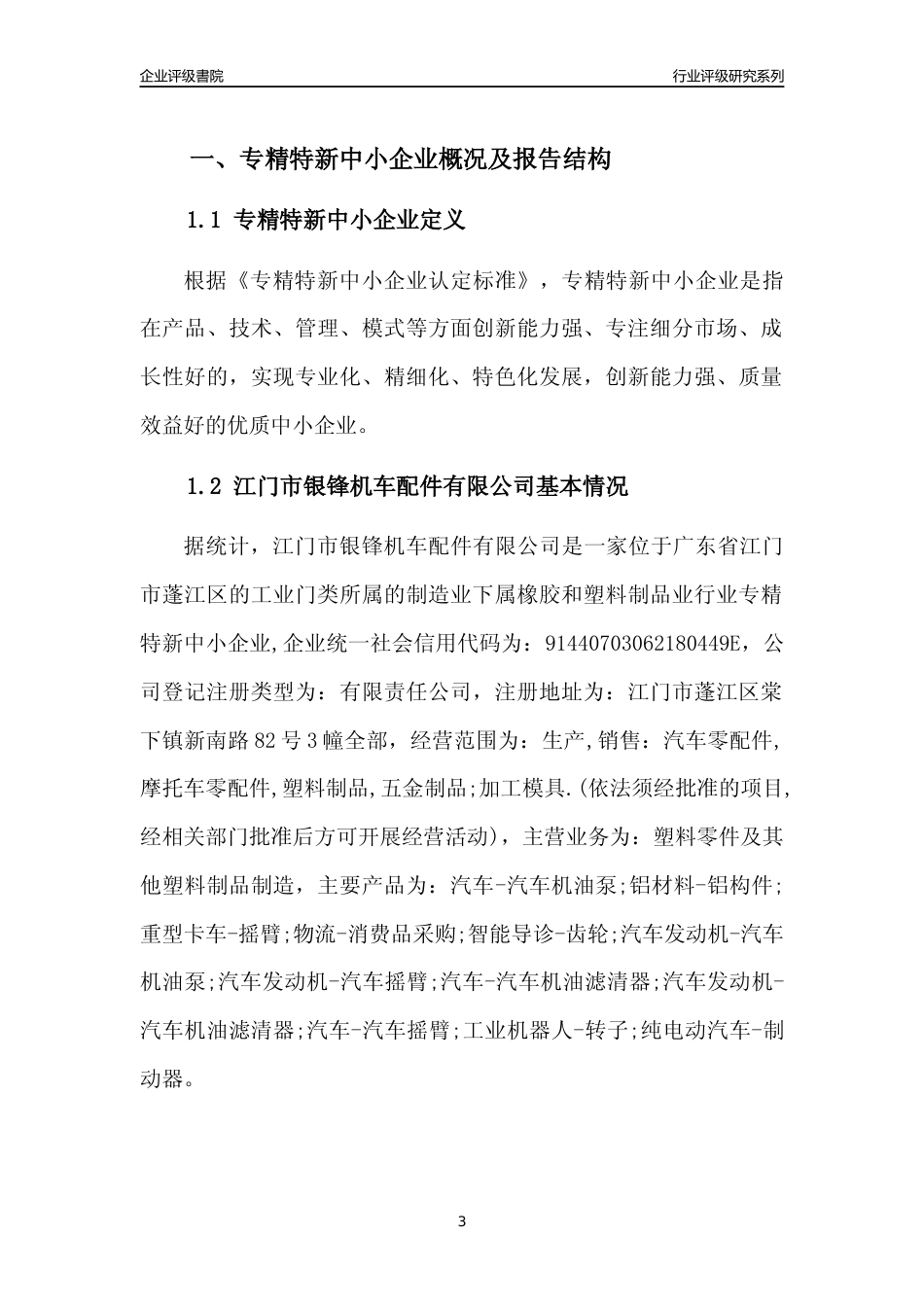 [专精特新]江门市银锋机车配件有限公司行业竞争力评级分析报告(2023版)_第3页