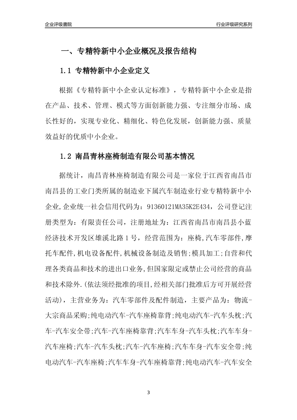 [专精特新]南昌青林座椅制造有限公司行业竞争力评级分析报告(2023版)_第3页