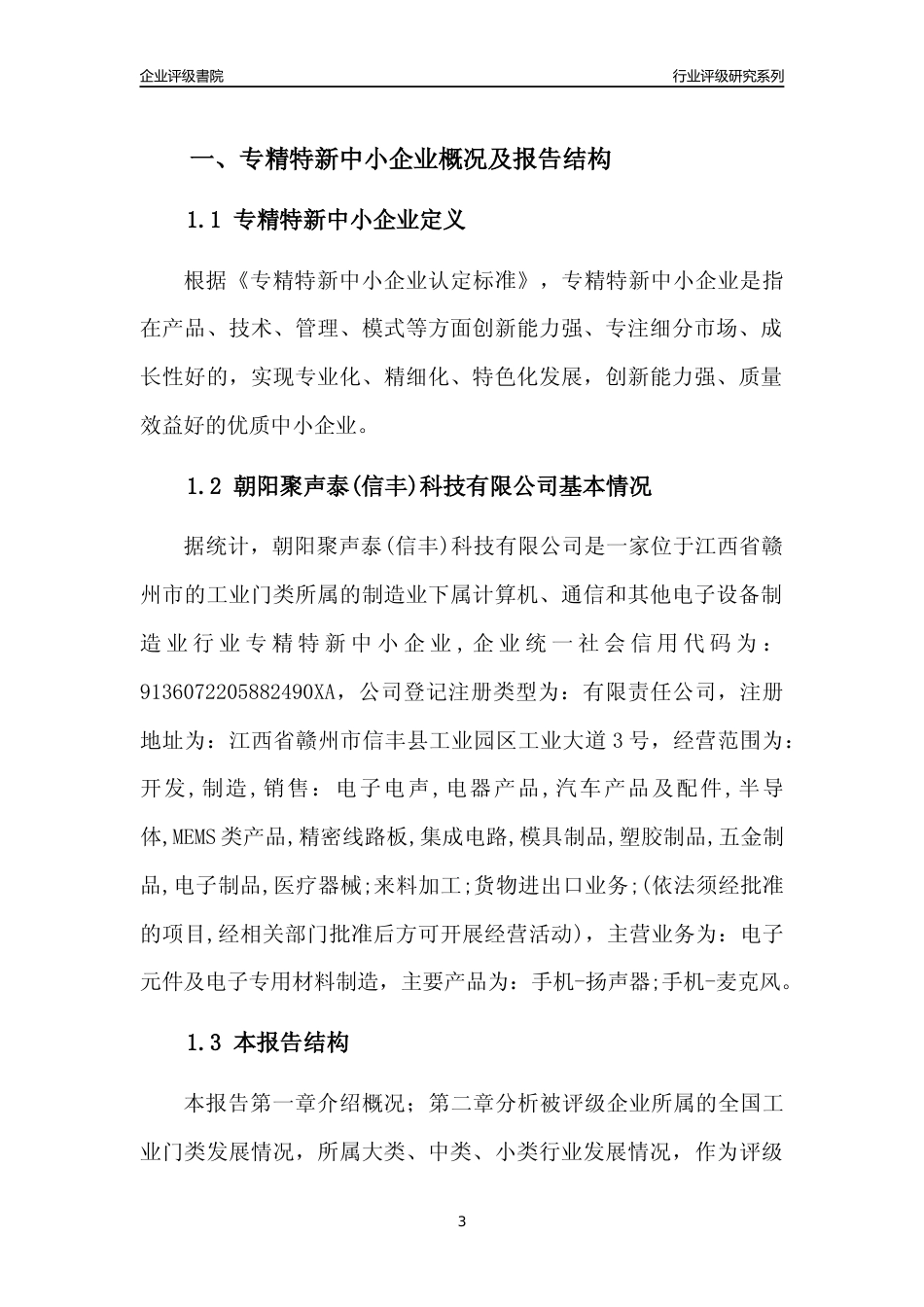 [专精特新]朝阳聚声泰(信丰)科技有限公司行业竞争力评级分析报告(2023版)_第3页