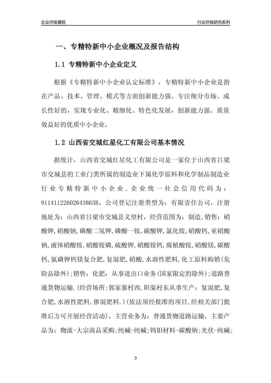 [专精特新]山西省交城红星化工有限公司行业竞争力评级分析报告(2023版)_第3页